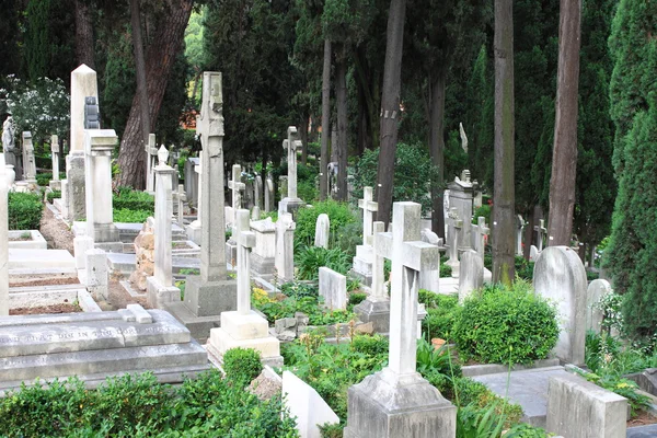 Cmentarzysko — Zdjęcie stockowe