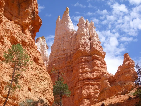 Bryce Canyon crag tower — Stock Photo, Image