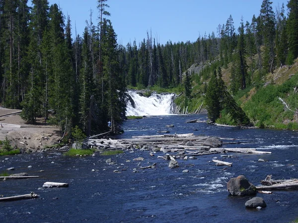 Lewis Falls in Yellowstone Park — Stock Photo, Image