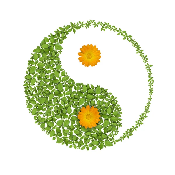 Floral yin yang symbol, harmonies icon — Stock Photo, Image
