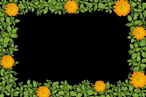 Зеленая растительная рама с цветами — стоковое фото