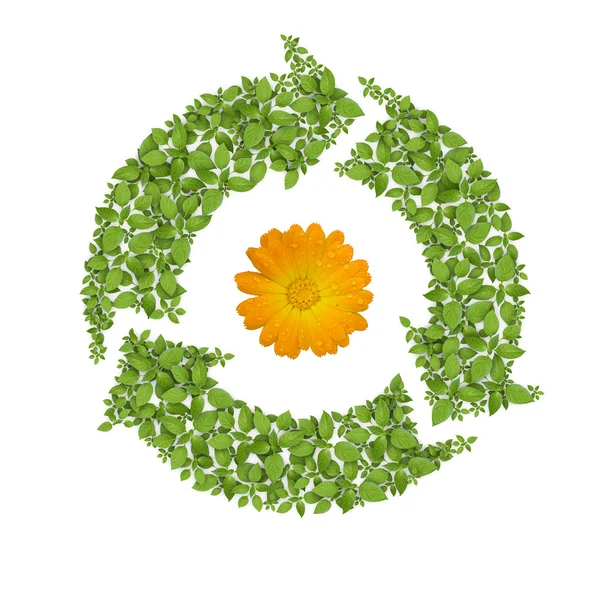 Symbol recyklace trávy — Stock fotografie
