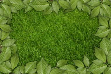 Green plant background clipart