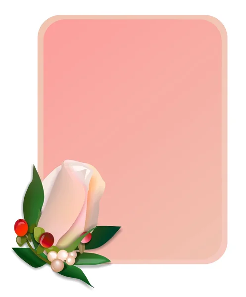 Vector pink rose and frame — Stock Vector