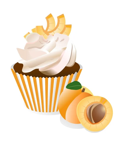 Vektor Cupcake mit Aprikose — Stockvektor