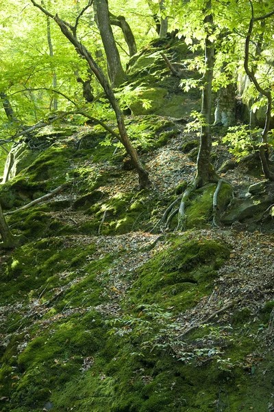 Dante'nın gorge Stok Fotoğraf