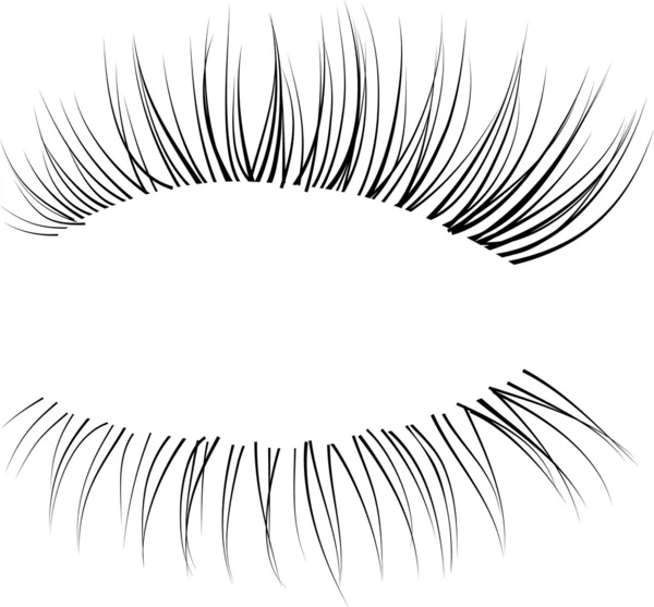 Vector eyelash — Stock Vector