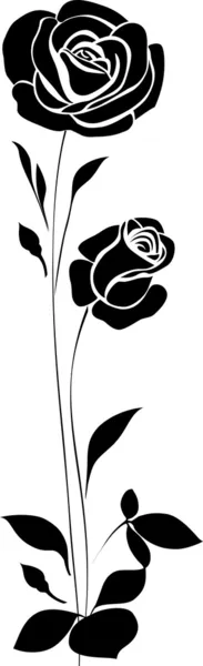 Roses silhouette — Stock Vector