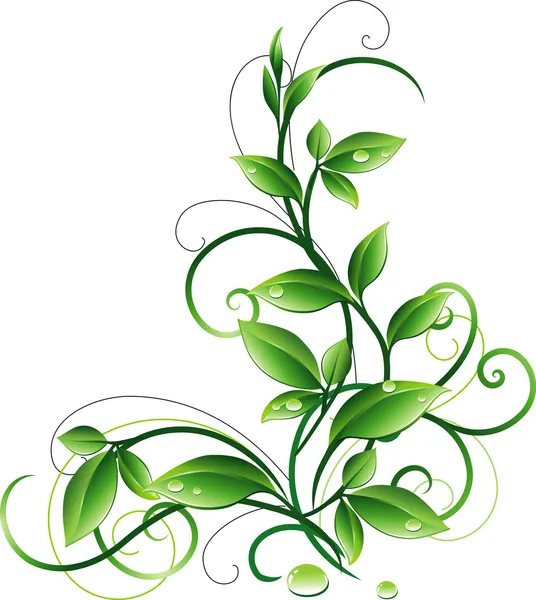 Ornament mit Blättern — Stockvektor