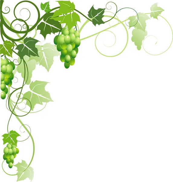 Tło winogron — Wektor stockowy