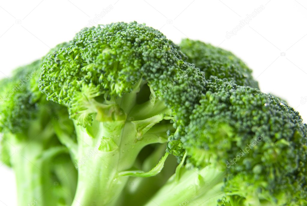 Closeup broccoli