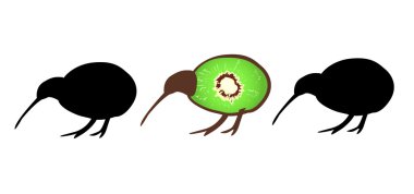 Kiwi birds New Zealand clipart