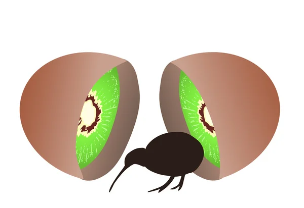 Kiwi fågel kommer från kiwifrukt — Stock vektor