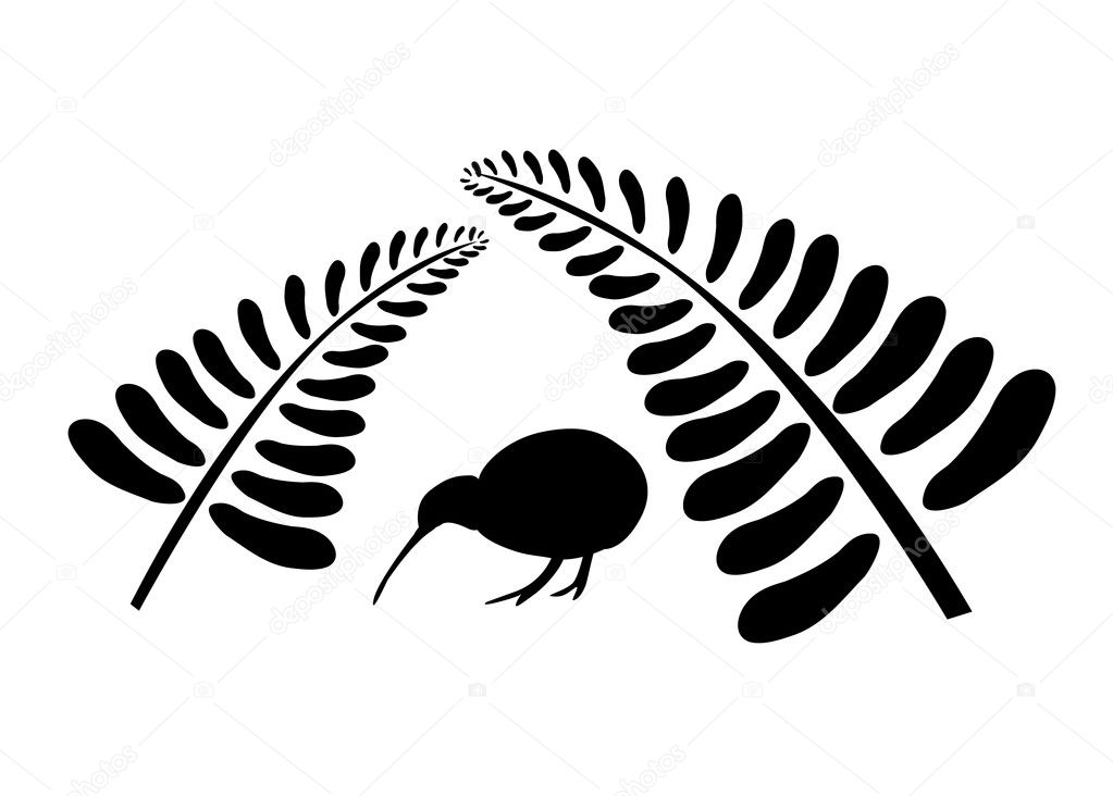 Kiwi bird under fern