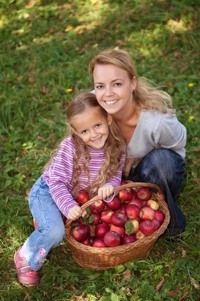 Heure de cueillette des pommes en automne — Photo