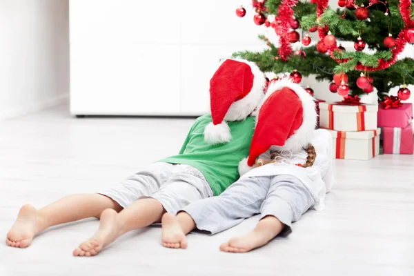 Дети, любующиеся рождественской елкой — стоковое фото