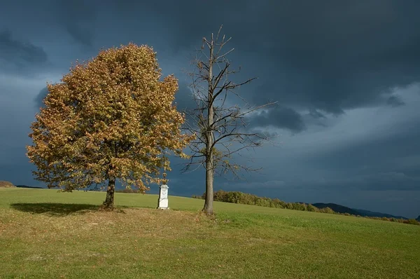 Kolumna Ukrzyżowanie z dwóch drzew — Zdjęcie stockowe