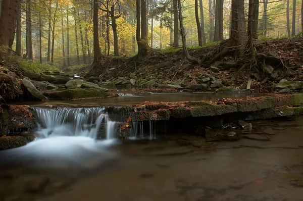 stock image Autumn stream