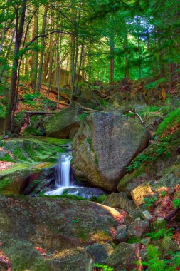 Nature background with big stone