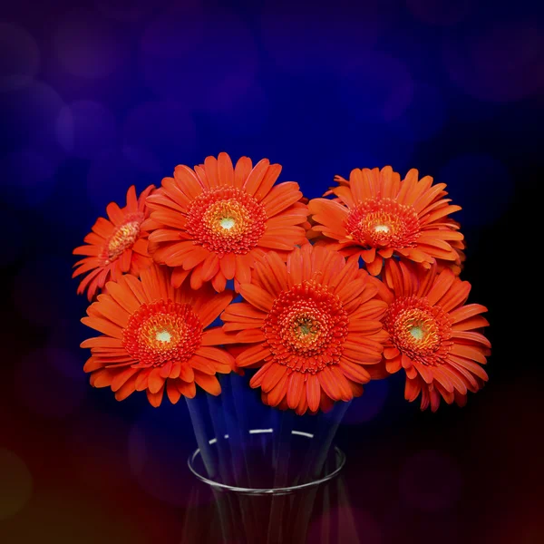 橙色非洲菊花瓶里的花 — 图库照片
