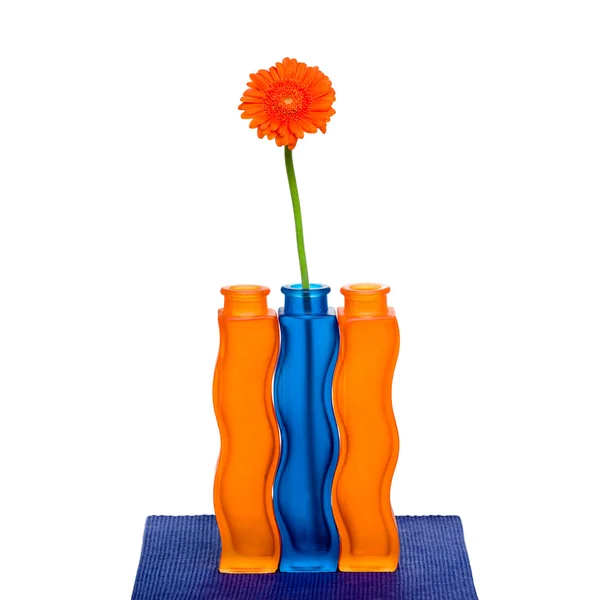 橙色非洲菊花瓶里的花 — 图库照片