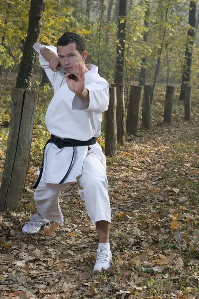 Karate och nunchaku — Stockfoto