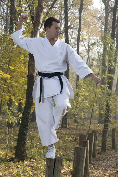 Karate in forestry — Stock Photo, Image