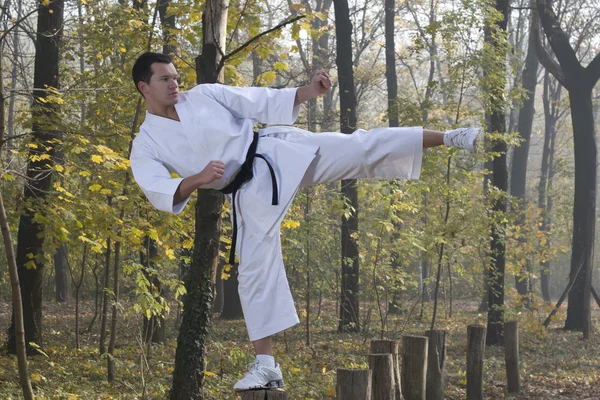 Karate in forestry — Stock Photo, Image