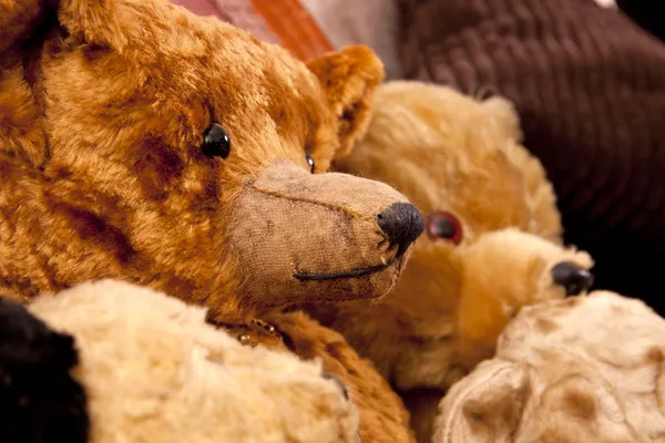Ursos antigos de brinquedo — Fotografia de Stock