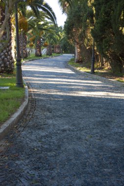 taş yolu