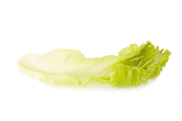 Ізольована листя салату — стокове фото