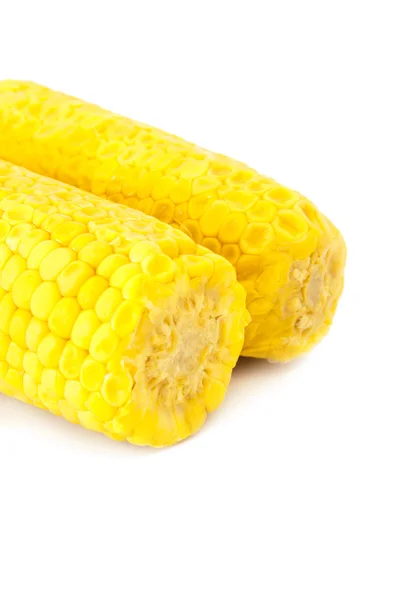 Ухо кукурузы — стоковое фото