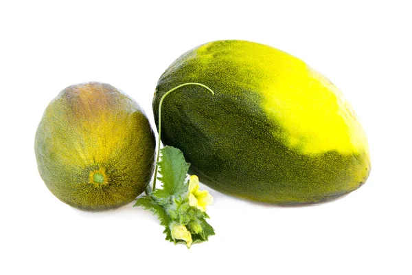 Melonen isoliert — Stockfoto