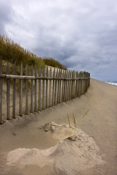 Spiaggia natura — Foto Stock