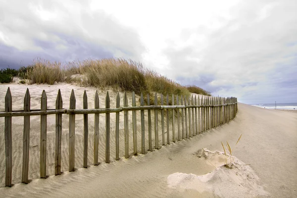Spiaggia natura — Foto Stock