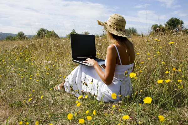 stock image Computer