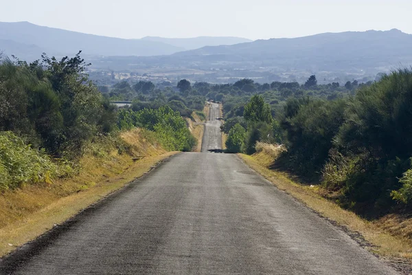 The road landscape — Stock Photo, Image