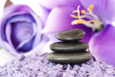 Stones with purple flower