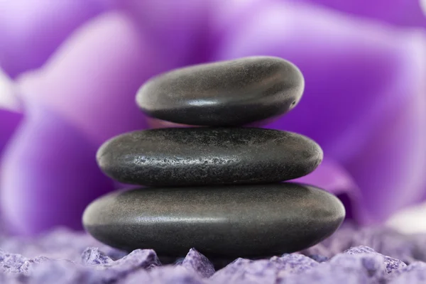 Stones with purple flower — Stok fotoğraf