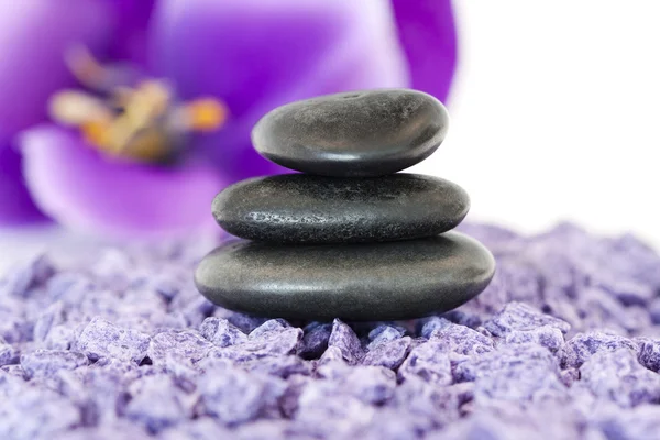 Stenen met paarse bloem — Stockfoto