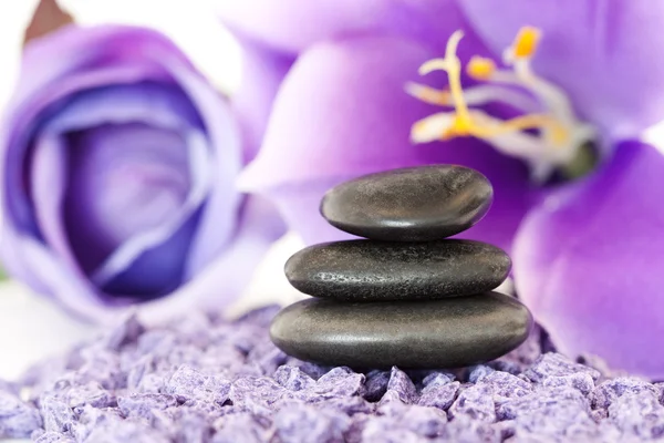 石头与紫色的小花 — 图库照片