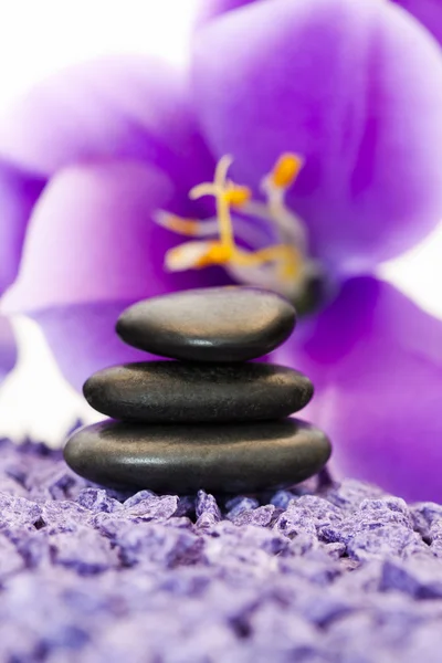 Piedras con flor púrpura —  Fotos de Stock
