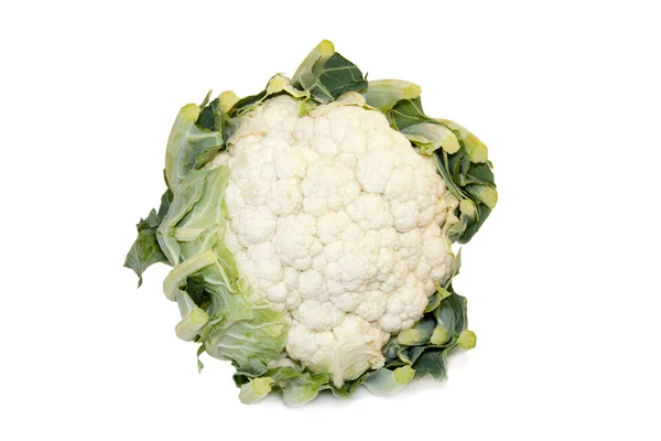 白色背景下的花椰菜 — 图库照片