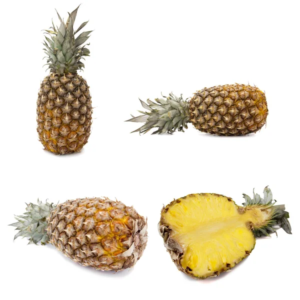 Ananas samling — Stockfoto