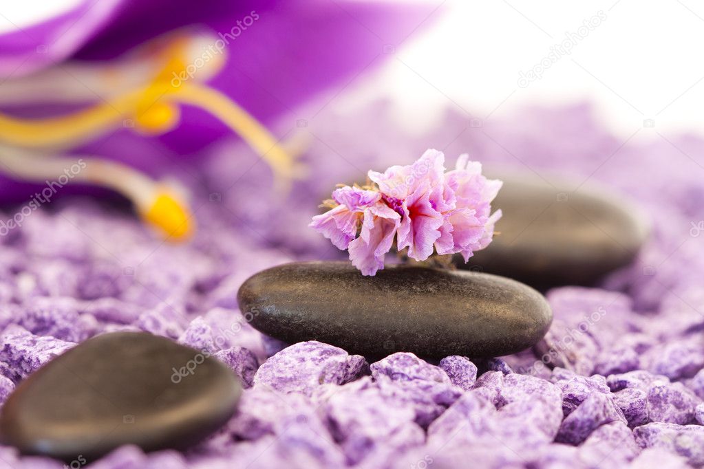 Stones with purple flower