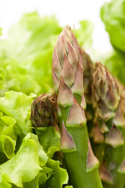 Fresh asparagus on a bed of lettuce — Stock Photo, Image