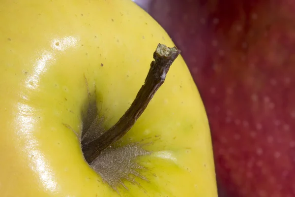 Gult äpple — Stockfoto