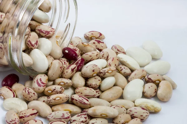 Detail of the beans — Stock Photo, Image