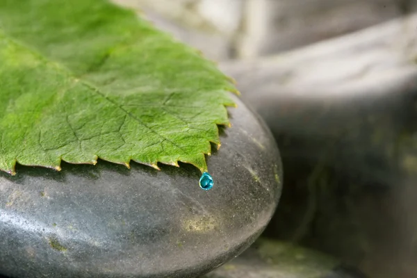 Yeşil yaprak ile su damlası, spa — Stok fotoğraf
