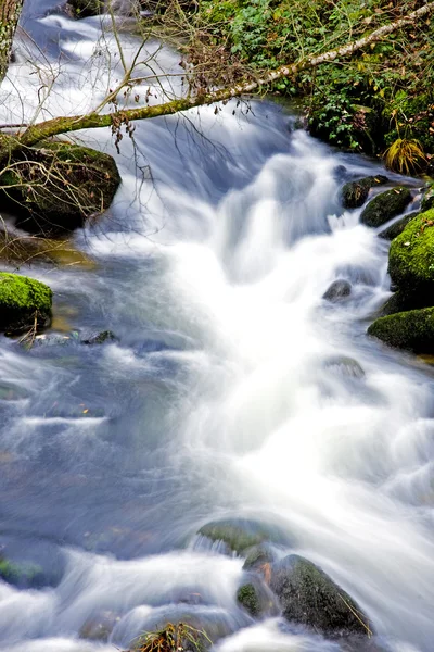 Paisaje río — Foto de Stock